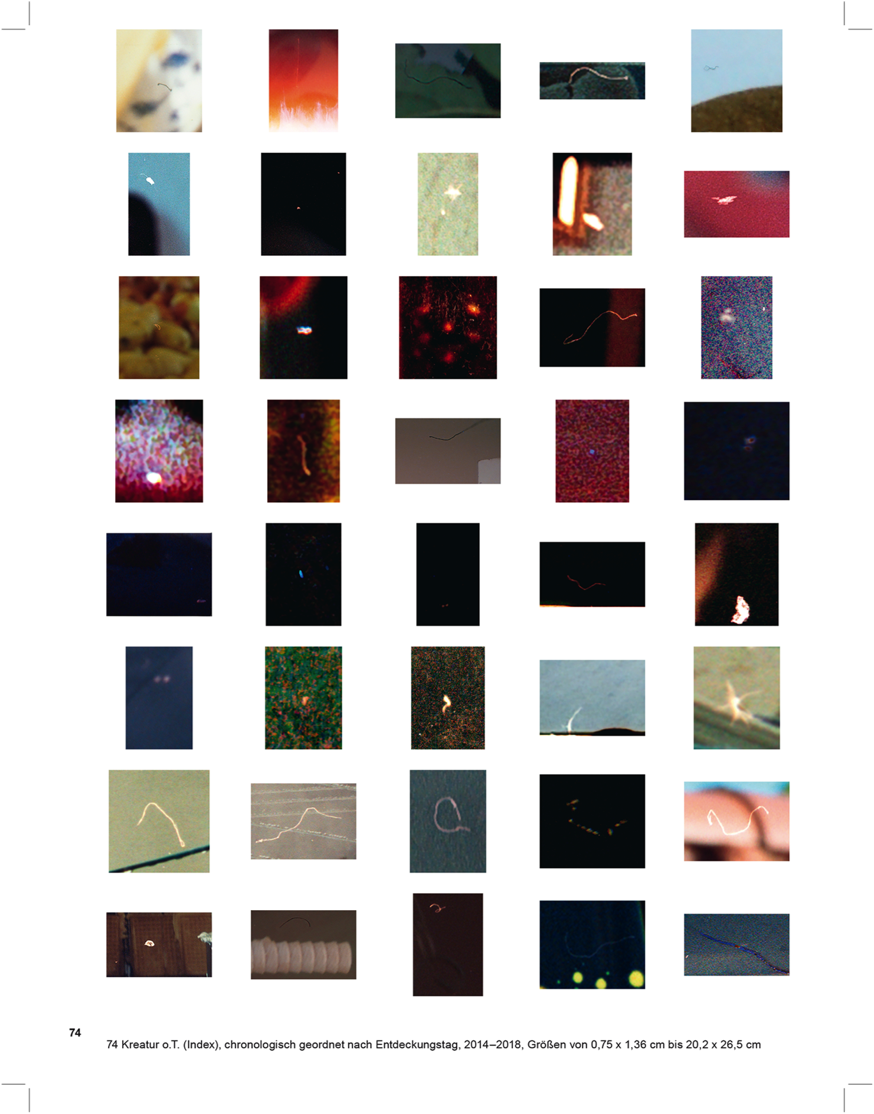 Alba Frenzel, Kreatur o.T.